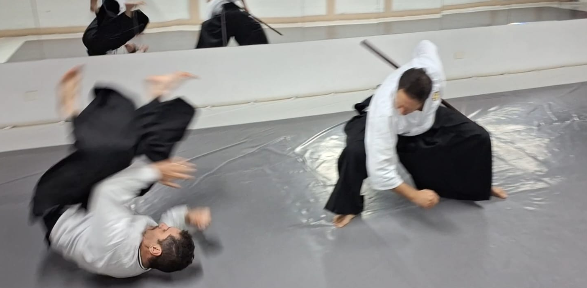 Federação de karatê tradicional do paraná 59x29 (1)