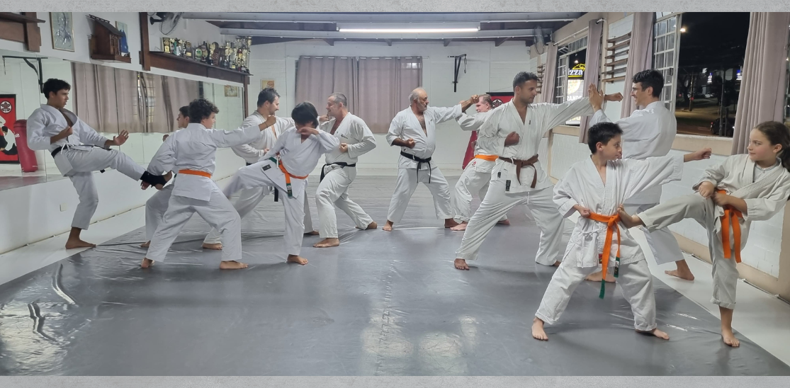 Federação de karatê tradicional do paraná 59x29 (12)